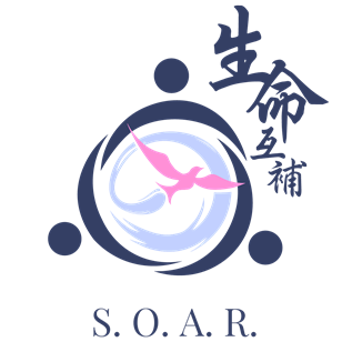 S.O.A.R. Education Foundation logo